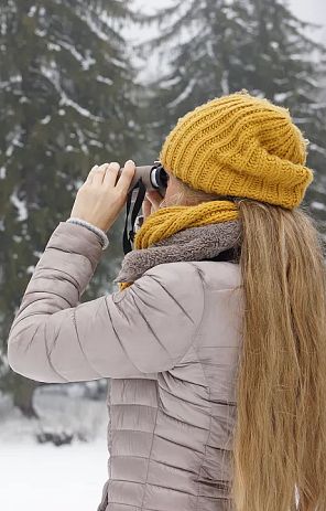 nature-watch-im-winter-hall-wattens